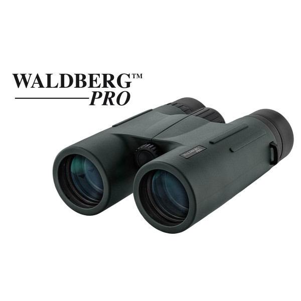Jumelles Waldberg Pro 10x42 ED - Vision nette, anti-choc, tout terrain
